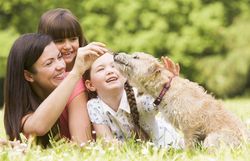 artgerechte Ernährung für Ihren Liebling